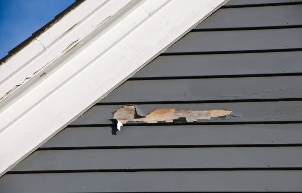 Best Appliance Removal  in Picture Rocks, AZ